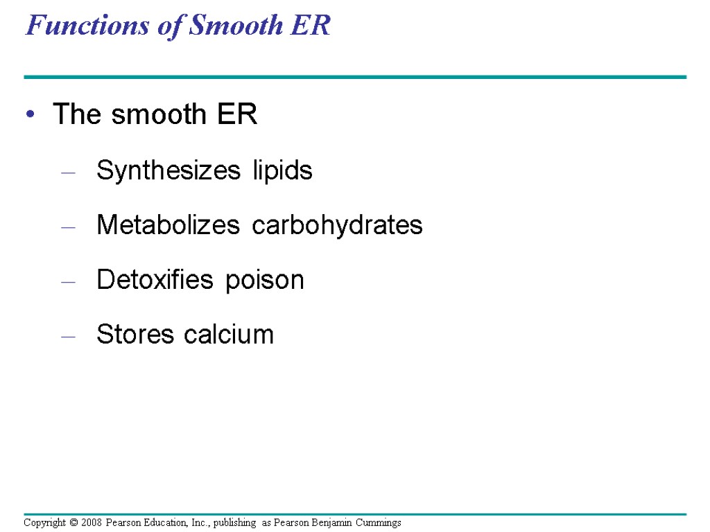 Functions of Smooth ER The smooth ER Synthesizes lipids Metabolizes carbohydrates Detoxifies poison Stores